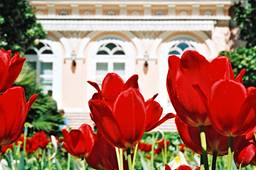 Turistička pristojba za 2024. godinu