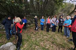 ACHTSAMKEITSÜBUNGEN IN DER NATUR