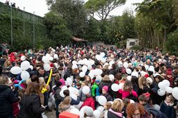 Ice Magic at Open Air Theatre