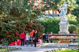 Camminata nordica con guida professionale