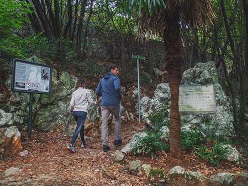 Carmen Sylva forest promenade