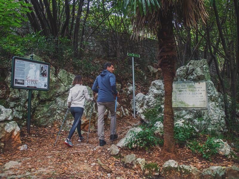 Carmen Sylva forest promenade – Take a walk along forest paths 