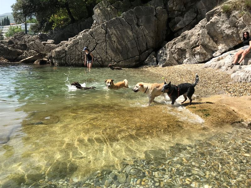 Kutyabarát strand Opatijában - négylábú kedvenceink paradicsoma 