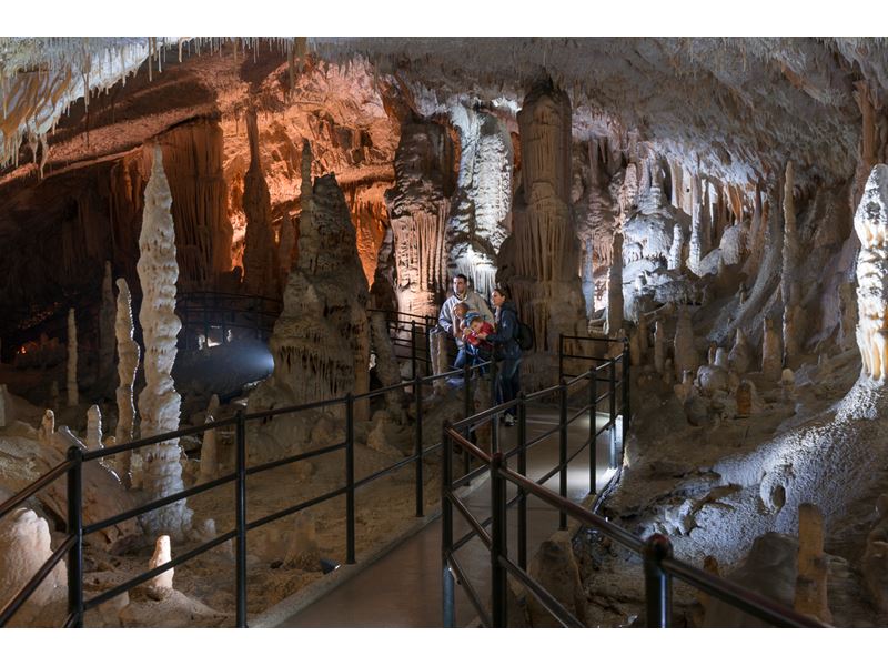 Esplorate le magnifiche Grotte di Postumia (Postojnska jama) 