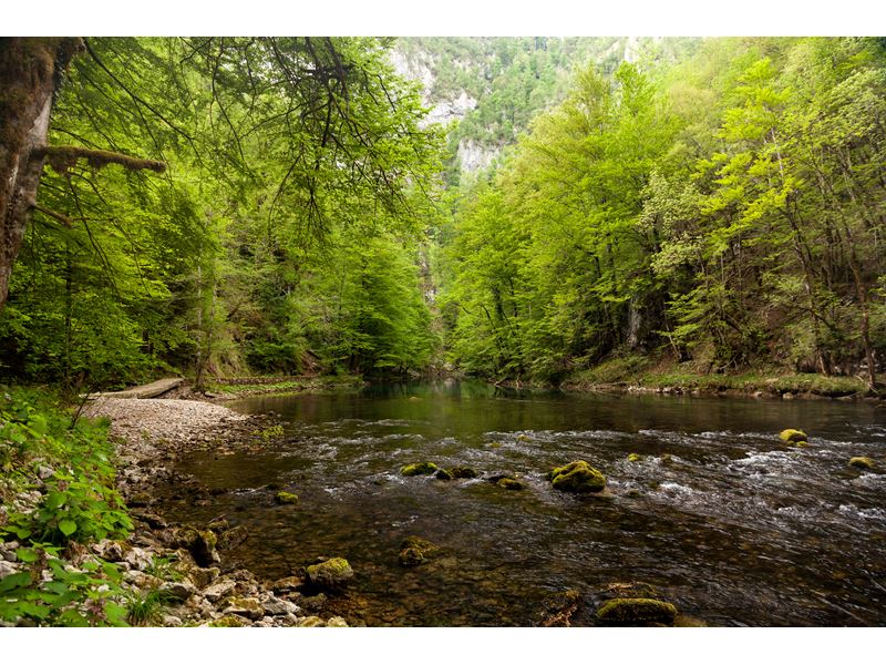 Discover Gorski Kotar, an oasis of magical woods and rivers 